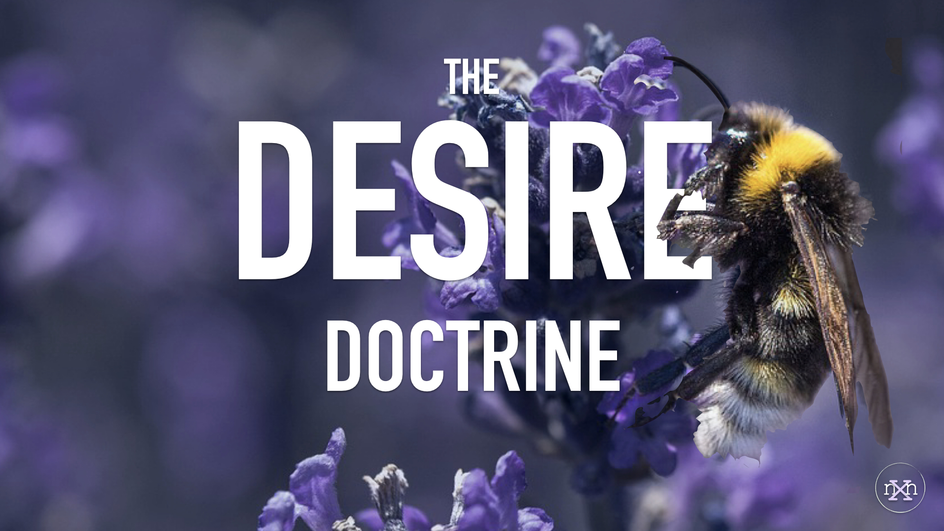 Writer, Sculptor of Desire